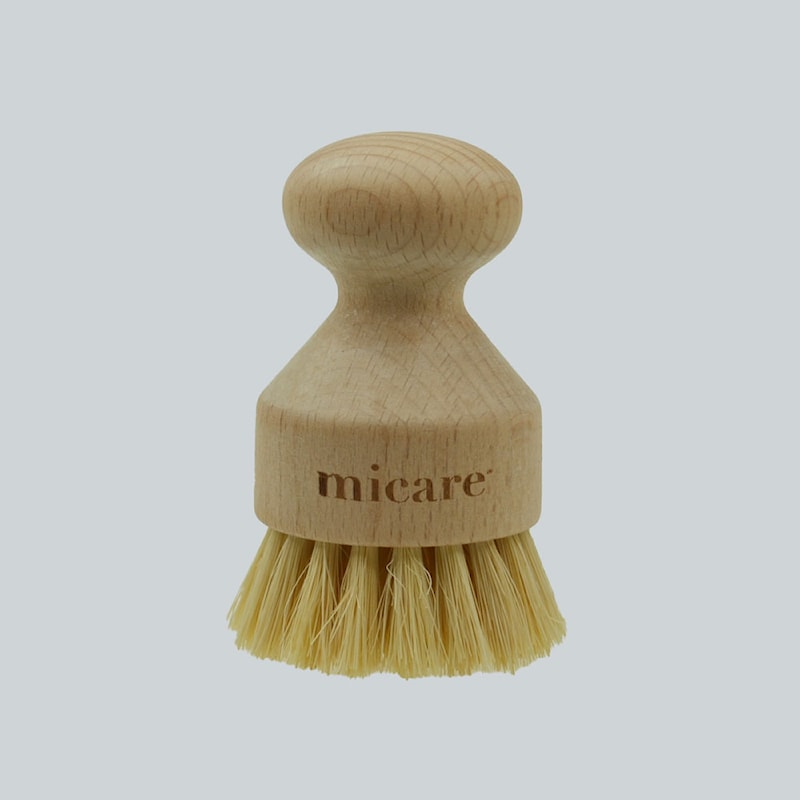 micare pottabursti (Pot Brush)