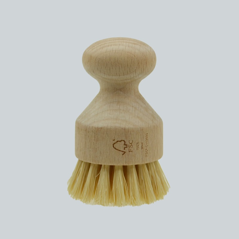 micare pottabursti (Pot Brush)